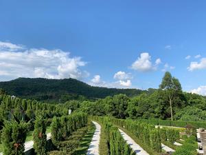 微信图片_201909062213054.jpg